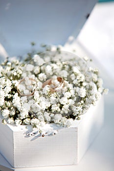 Wedding golden rings on white flowers