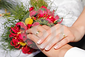 Wedding hands with rings