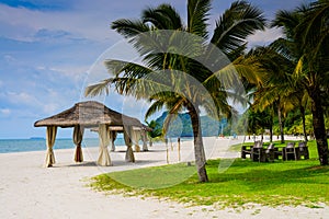 Wedding hut and Palm tree on the beach photo