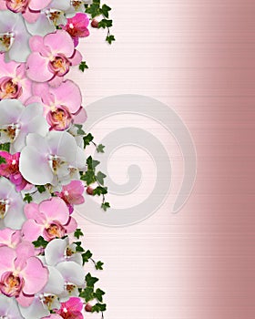 Wedding invitation Border orchids ivy