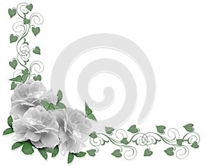 Wedding Invitation Border White Roses