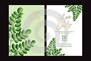 Wedding invitation card, moringa leaf. vector