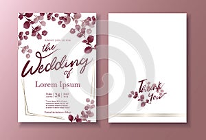 Wedding invitation card, watercolor techniques, red eucalyptus template. Red eucalyptus leaves above the card. Illustration/vector