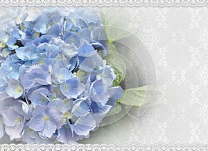 Wedding invitation Hydrangea and lace