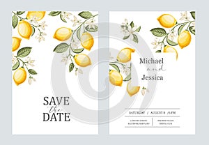 Wedding invitation. Lemon illustration. hand-drawn frame.