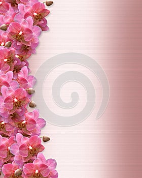 Wedding Invitation Orchids Border