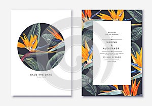 Botanical wedding invitation card. Template design with Strelitzia Reginae, tropical flowers and leaves. photo
