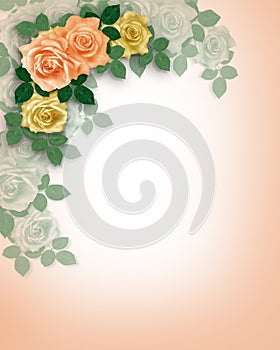 Svatební oznámení růže broskev 