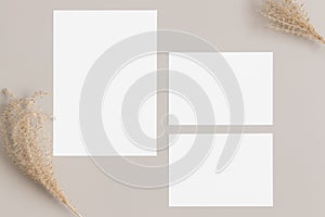Wedding invitation stationery mockup with a dried grass decoration. Dimensions: 5x7`, 3.5x5`