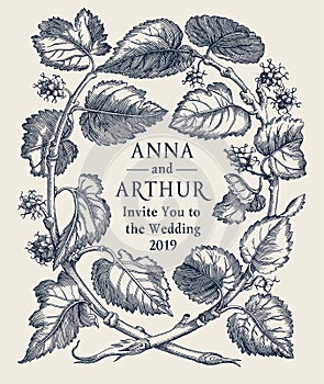 Wedding invitation Vintage card Frame Drawing engraving grape tree leaves isolated floral Wallpaper background vector Illustration