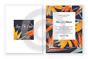 Bright templates with space for text, minimalist design with tropical flowers and leaves of Strelitzia royal. photo