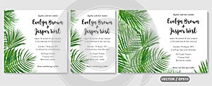Wedding invite, invitation rsvp thank you card vector floral greenery design: Forest tropical palm leaf Areca branch