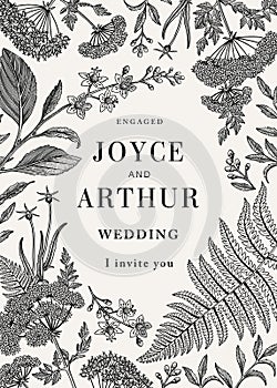 Wedding isolated flowers Vintage card Frame Drawing engraving Fern Hemlock. Wallpaper background vector illustration