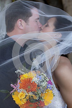 Wedding kiss under veil