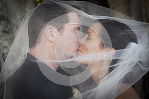 Wedding kiss under veil