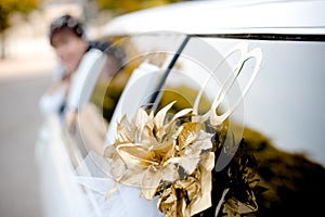 Wedding limousine decoration