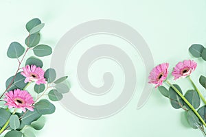 wedding or mothers day backgroundgreen eucaliptus leaves over mint green background