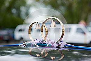 Wedding ornament by rings
