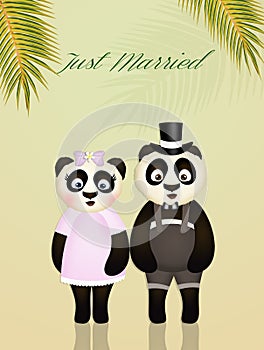 Wedding of panda