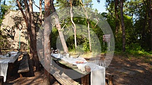 Wedding party banquet outdoors in pine forest. Dining tables, benches decorated in boho style with candles, flowers