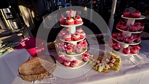 Wedding Party Cupcake tower desserts display