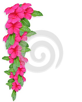 Wedding, Party Invitation Periwinkle