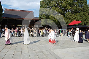 Wedding party at Meiji Shrine, Shinjuku, Tokyo, Japan