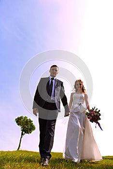 Wedding photography. The bride and groom in nature.