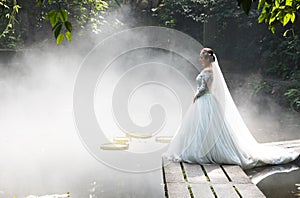 Wedding Photos of Beautiful Bride