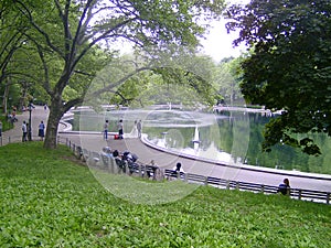 Wedding Pictures Central Park