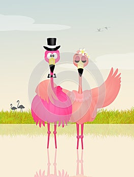 Wedding of pink flamingos