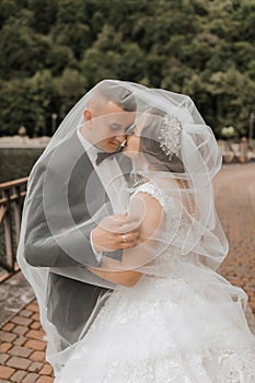 Wedding portrait. A brunette bride in a long dress and a groom in a classic suit pose under a veil