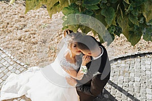 Wedding portrait. The groom in a black suit and the blonde bride in a white dress