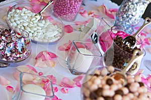 Wedding Reception Candy Table.