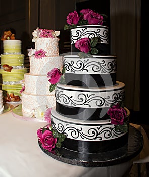 Wedding Reception Celebration Cakes