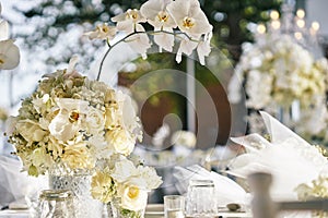 The white cream roses, orchids decoration on the reception dinner table, flowers, Floral - closed up