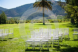 Wedding reception in nature