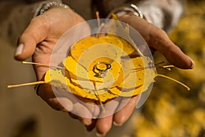 A wedding ring atop yellow autumn foliage photo