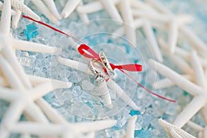 Wedding ring and band on a sea star