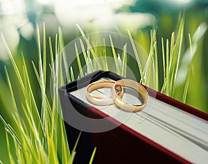 Wedding ring on book