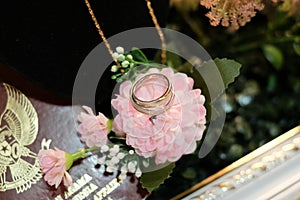 A Gold Wedding ring and Neckalace on terarium Box Landscape photo