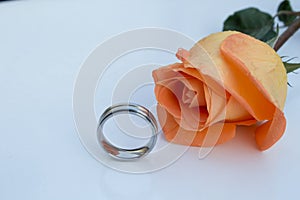 Wedding ring chromed and orange rose, on white background