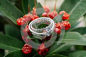 A wedding ring delicately placed atop vibrant red blooms,