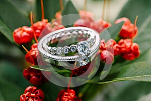 A wedding ring delicately placed atop vibrant red blooms,