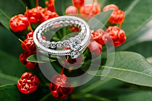 A wedding ring delicately placed atop vibrant red blooms,