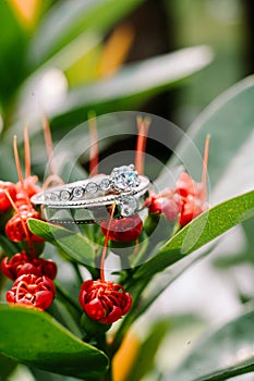 A wedding ring delicately placed atop vibrant red blooms,