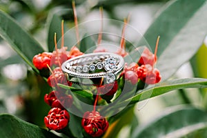 A wedding ring delicately placed atop vibrant red blooms,