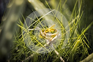 Wedding Ring on the Grass