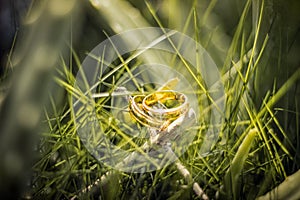 Wedding Ring on the Grass photo