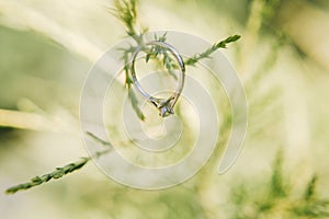 Wedding ring in the grass